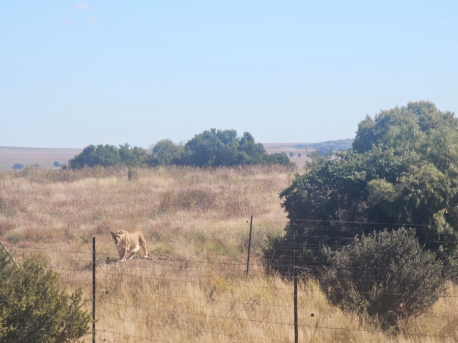 4 Bedroom Property for Sale in Dewetsdorp Free State